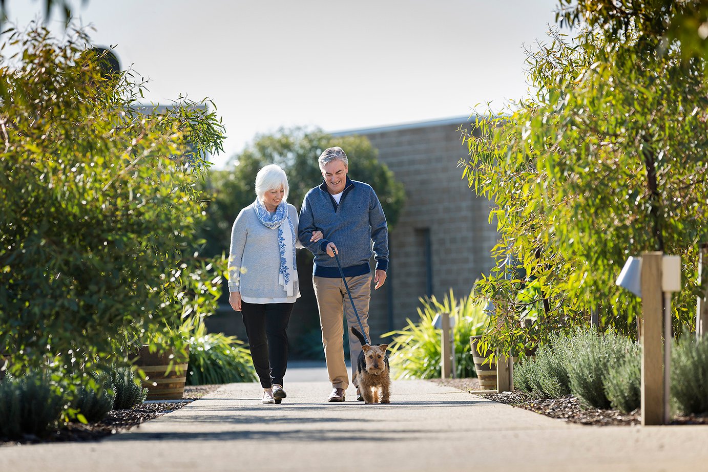 An retired couple walking arm in arm down a path with their small dog on a lead.