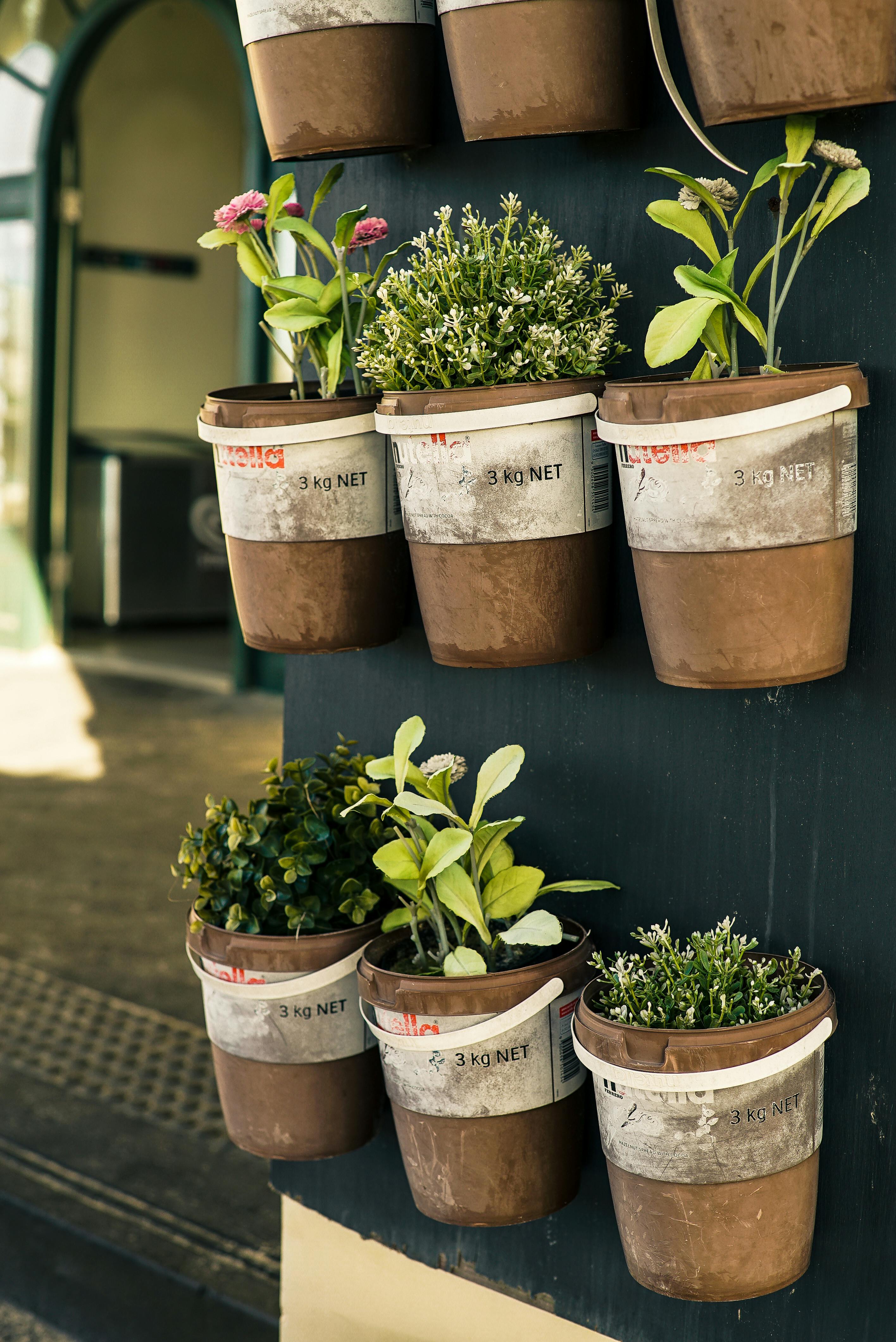 Spring gardening workshop (Scoresby)